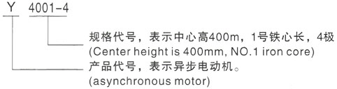 西安泰富西玛Y系列(H355-1000)高压余江三相异步电机型号说明